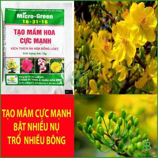 Tạo mầm hoa cực mạnh Micro-Green