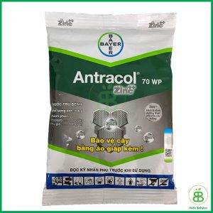 Thuốc Phòng Bệnh, Bảo Vệ Cây Antracol 70WP 100Gr