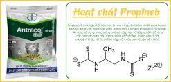 Hoạt-chất-Propineb-có-trong-Antracol