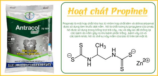 Hoạt-chất-Propineb-có-trong-Antracol