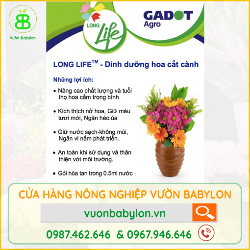 Lợi-ích-khi-sử-dụng-long-life