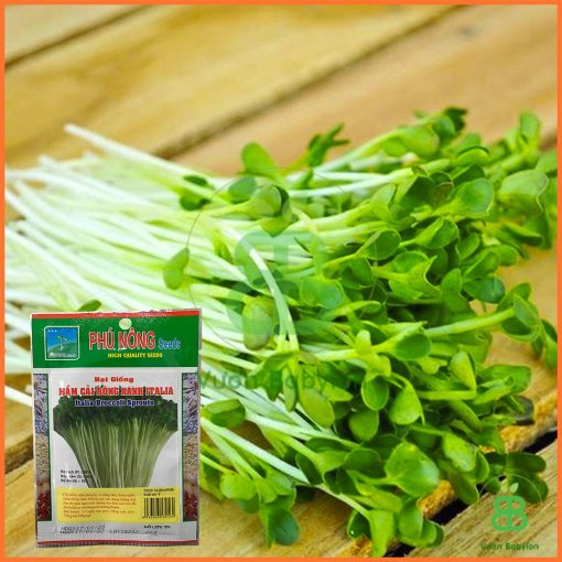 Rau mầm bông cải xanh italia