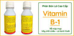 Phân-bón-lá-vitamin-B1