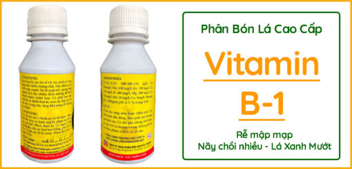 Phân-bón-lá-vitamin-B1