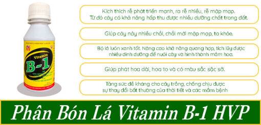 Ưu-điểm-phân-bón-lá-vitamin-B-1-HVP