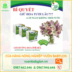 bí-quyết-giữ-hoa-lâu-tàn