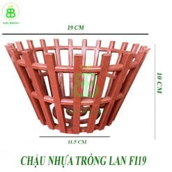 chau-nhua-trong-lan-fi19-(vuon-bababylon)