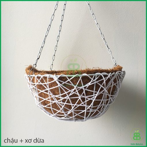 chậu xơ dừa fi28