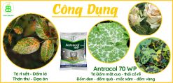 công-dụng-thuốc-trừ-bệnh-antracol-70WP