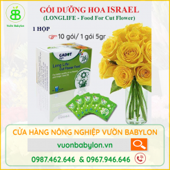 gói-dưỡng-hoa-long-life