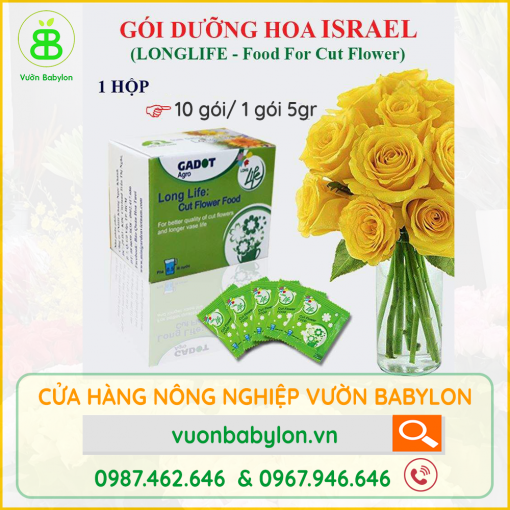 gói-dưỡng-hoa-long-life