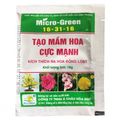tao-mam-hoa-cuc-manh-micro-green-16-31-16
