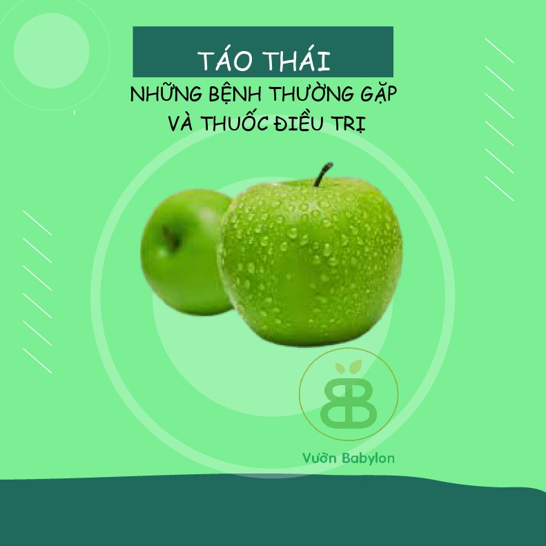 Tao Thai Tao Thai