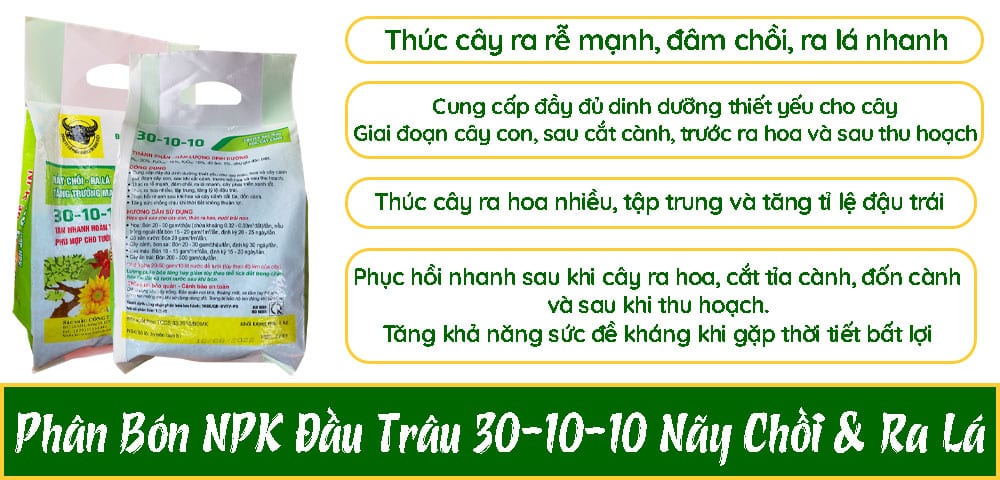 Công-dụng-của-phân-bón-đầu-trâu-NPK-30-10-10