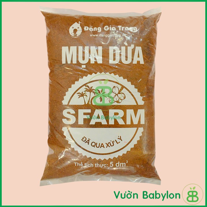 Mụn Xơ Dừa Sfram-5dm3