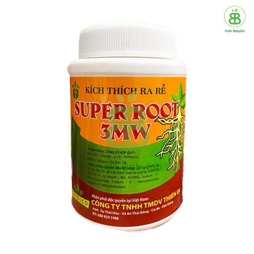 kich-ra-re-super-root-3mw-6