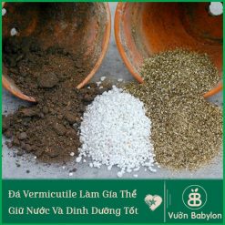 Đá Vermiculite, Đá Vơ Mi NAMIX