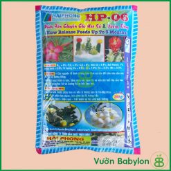 phân bón xương rồng