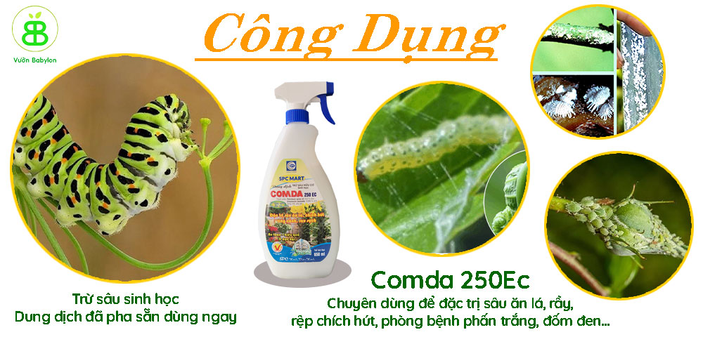 công-dụng-thuốc-trừ-sâu-sinh-học-comda-250ec