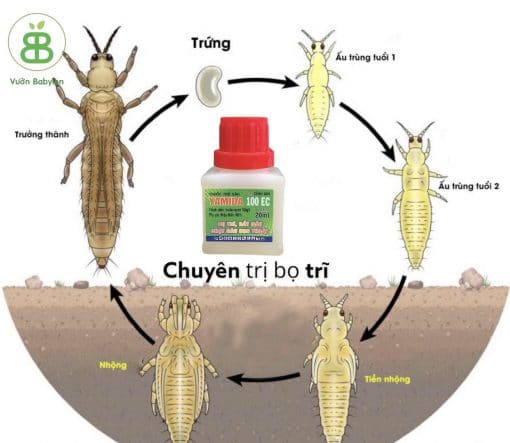 Yamida chuyên trị bọ trĩ và rầy nâu (Vườn Babylon)thuốc trừ sâu yamida