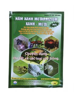 nấm xanh meta