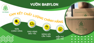 của hàng vật tư nông nghiệp Vườn Babylon