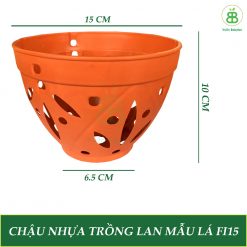 chau-nhua-trong-lan-mau-la-fi15-(vuon-babylon)