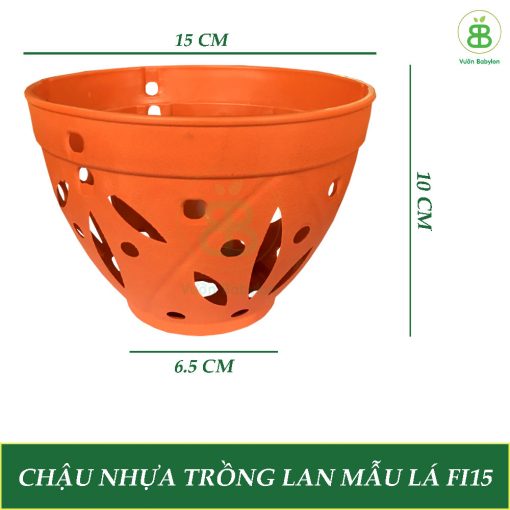 chau-nhua-trong-lan-mau-la-fi15-(vuon-babylon)