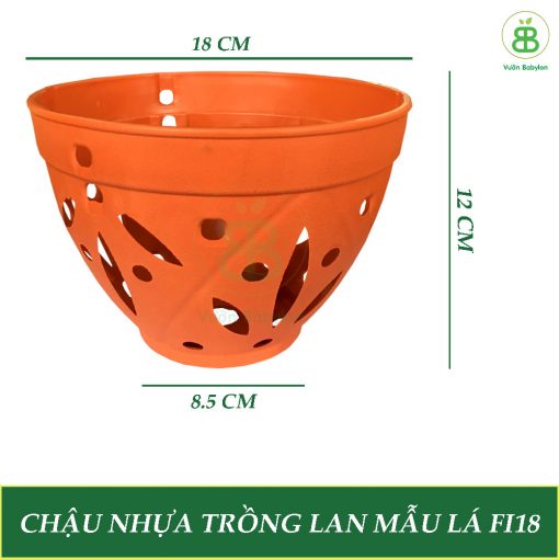 chau-nhua-trong-lan-mau-la-fi18-(vuon-babylon)