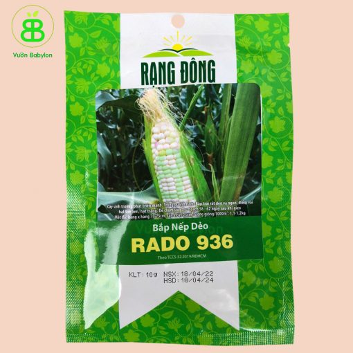 bắp-nếp-dẻo-rado-936-(mua-hạt-giống-bắp-nếp-dẻo-rado-tại-vườn-babylon)