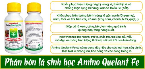 Công-dụng-phân-bón-lá-sinh-học-Amino-Quelant-Fe