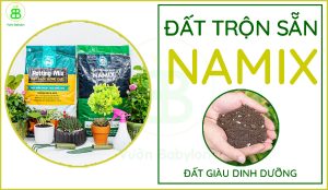 Mua-Đất-Trồng-Sen-Đá,-Rau-Sạch-NAMIX-Ở-Đâu