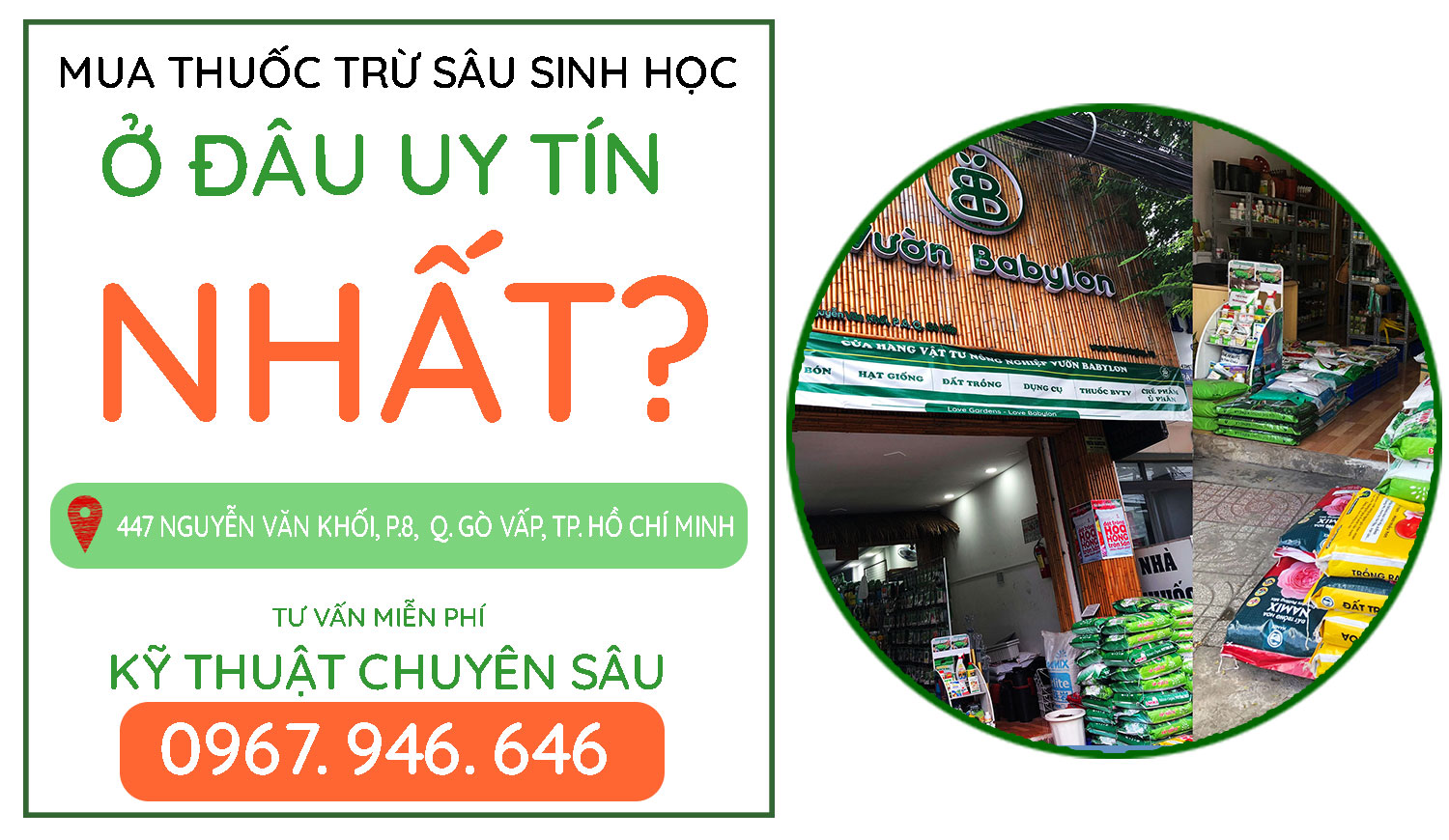 mua-thuốc-trừ-sâu-sinh-học-ở-đâu-uy-tín-nhất