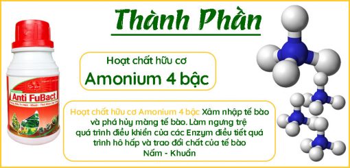 Thành-phần-thuốc-trị-nấm-khuẩn-Anti-FuBact