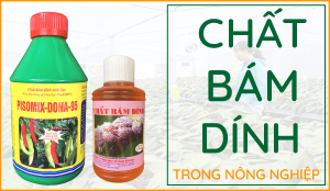 chất-bám-dính-nông-nghiệp