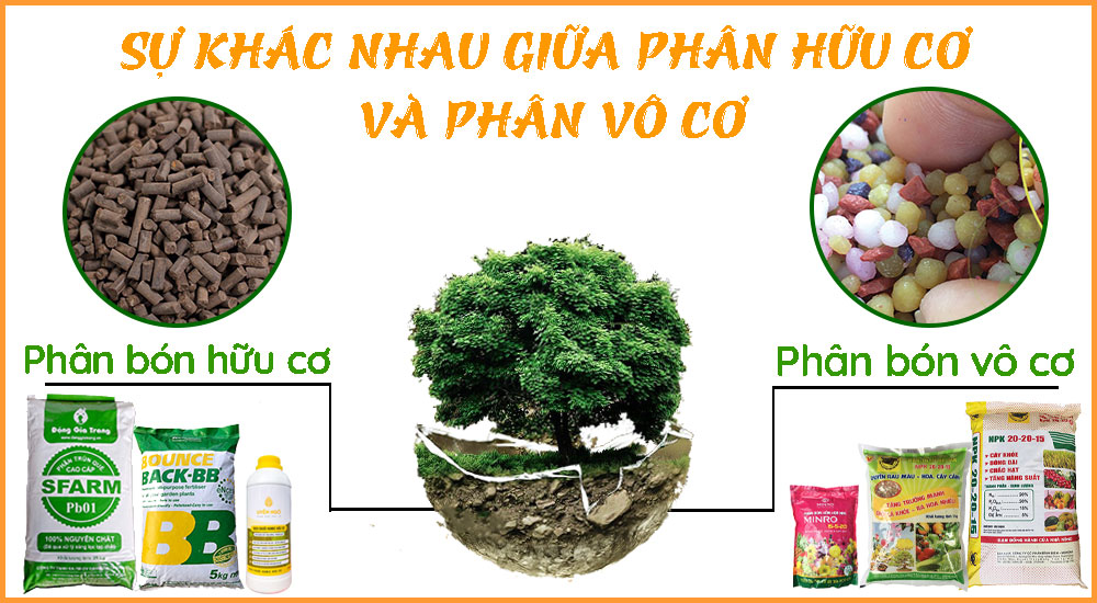 sự-khác-nhau-giữa-dòng-phân-bón-hữu-cơ-và-dòng-phân-vô-cơ