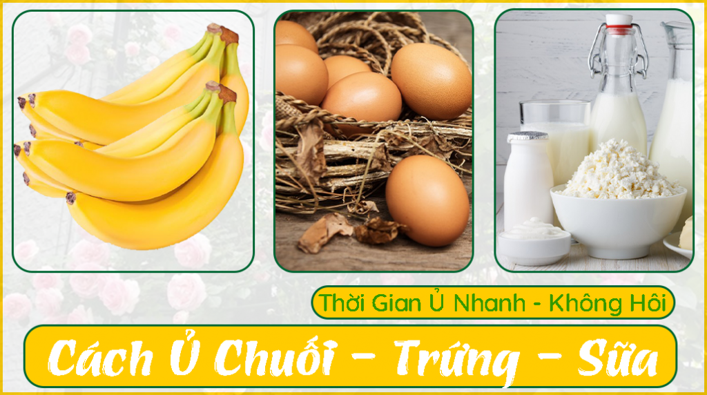 Cách-ủ-chuối-trứng-sữa