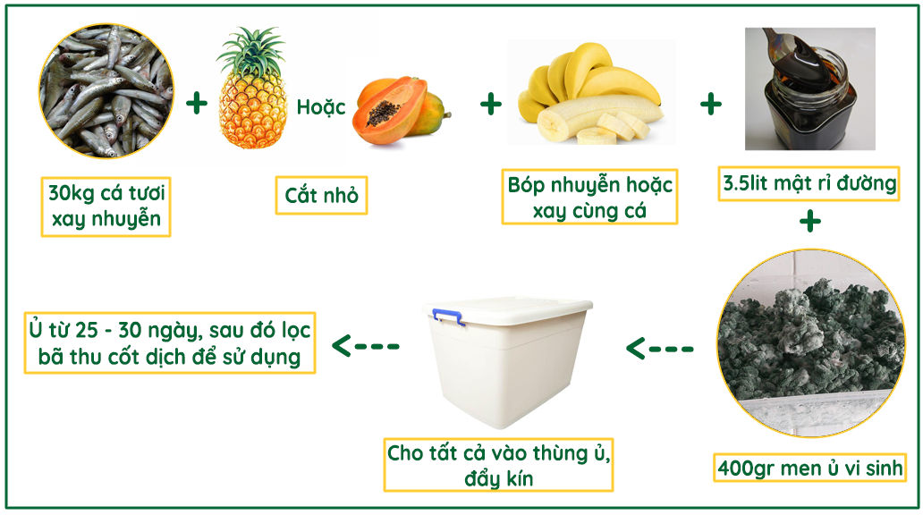 Cách ủ phân đạm cá với men ủ vi sinh