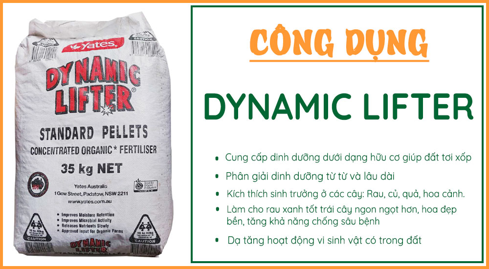 Cong Dung Phan Bon Huu Co Uc Dynamic Lifter Bao 35kg