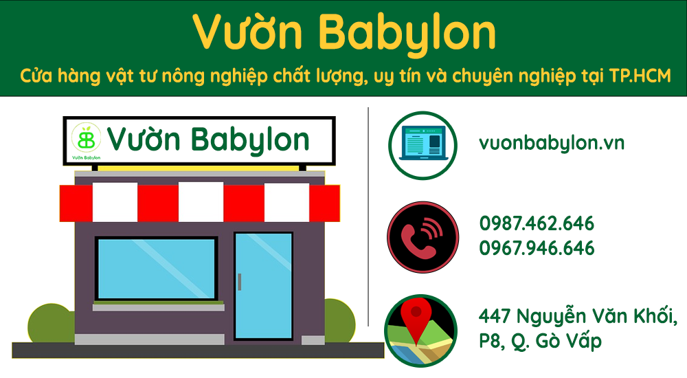 cửa hàng bán đạm cá