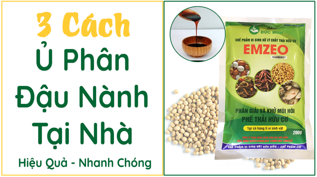 3 Cách ủ phân đậu nành tại nhà