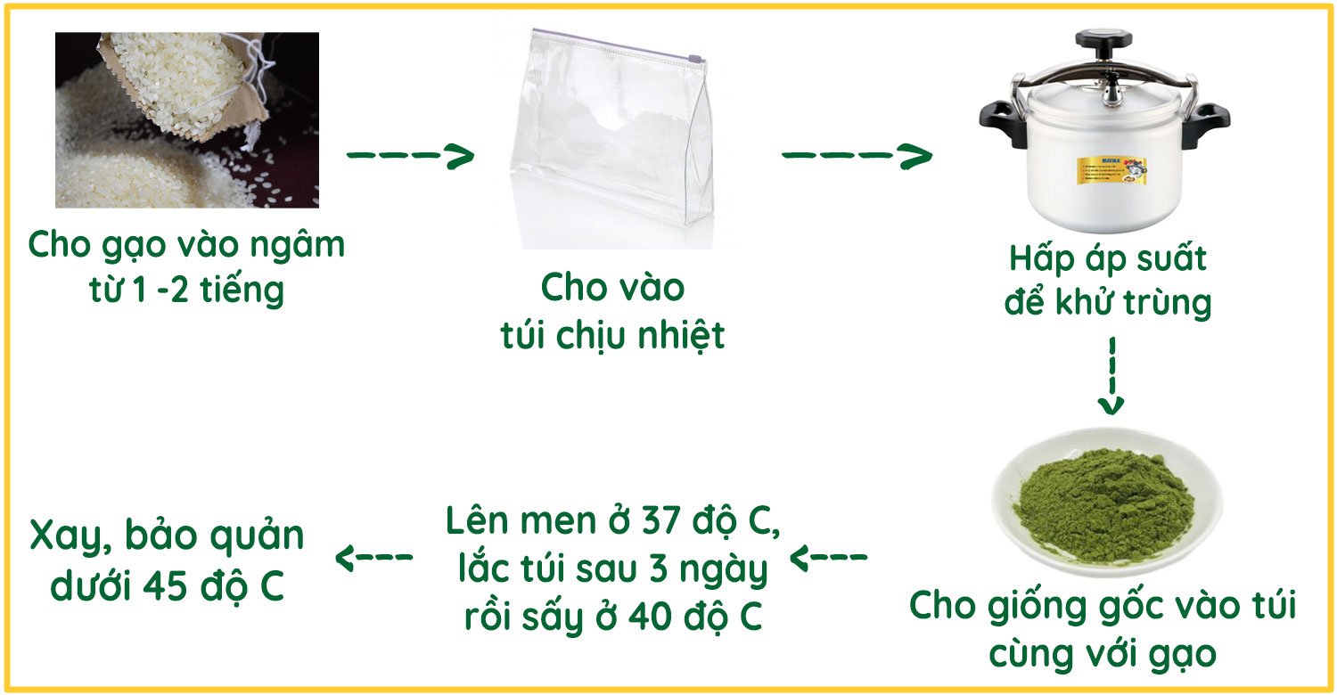 Các bước ủ nấm xanh