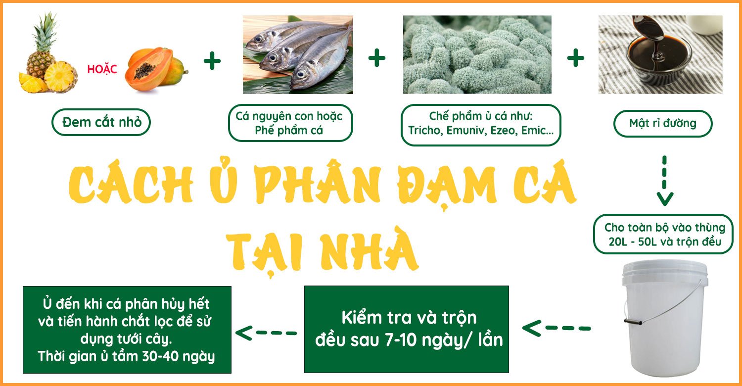 Cách ủ phân đạm cá 