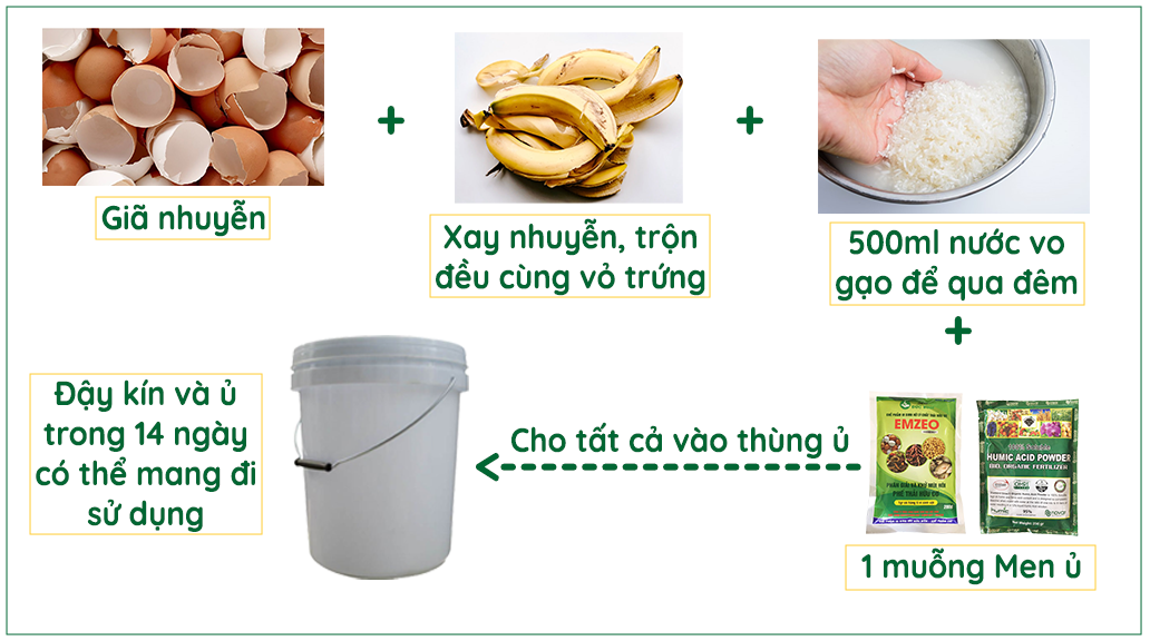 Các bước ủ dịch đạm chuối cùng với nước vo gạo 