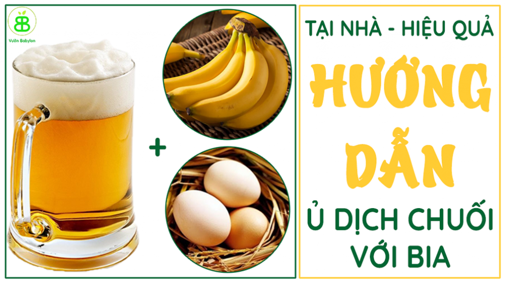 Cách ủ dịch chuối với bia tại nhà