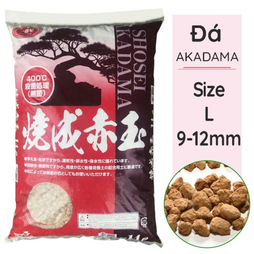 Đá-Akadama-size-L-9-12cm