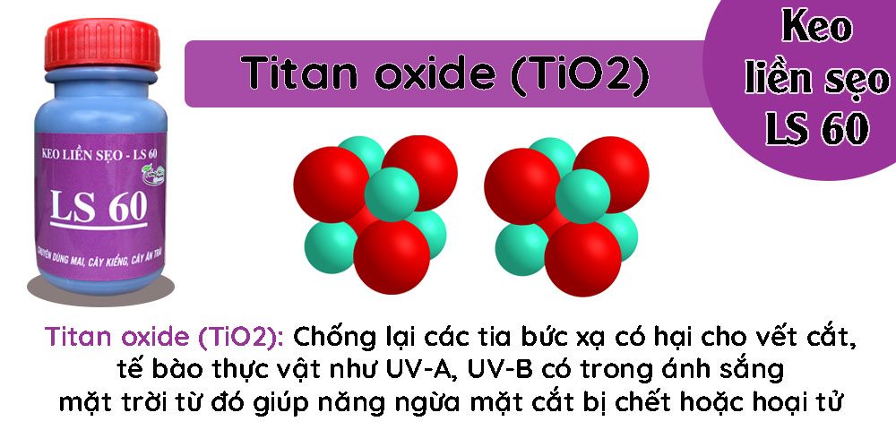 Hoạt-chất-Titan-Oxyde-có-chứa-trong-keo-liền-sẹo-LS-60