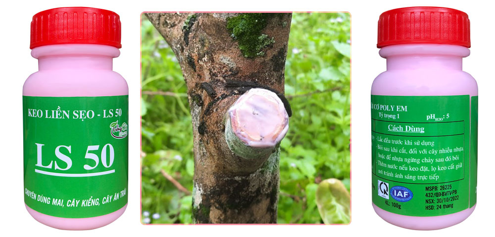 Keo-liền-sẹo-cho-cây-trồng-LS-50