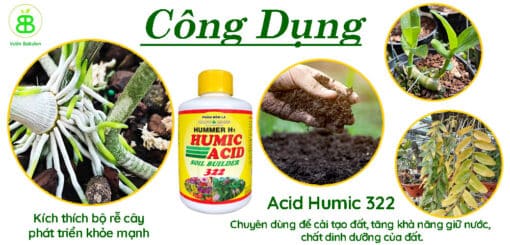 công-dụng-acid-humic-322