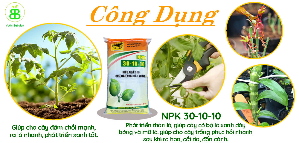 công-dụng-phân-bón-NPK-30-10-10-bao-xá-25Kg